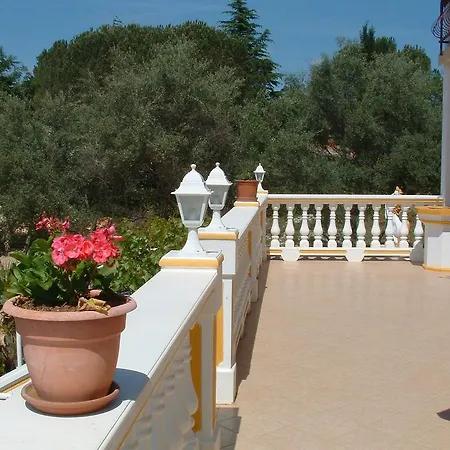 Nikky By El-pi Tours